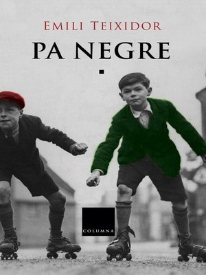 cover image of Pa negre